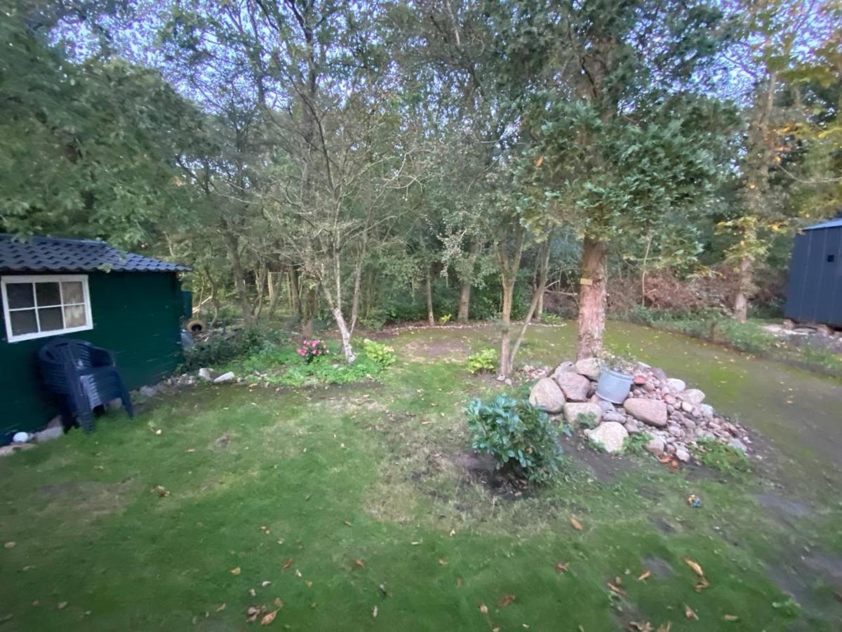 Chalet With Access To The Woods - No 147 Anloo Εξωτερικό φωτογραφία